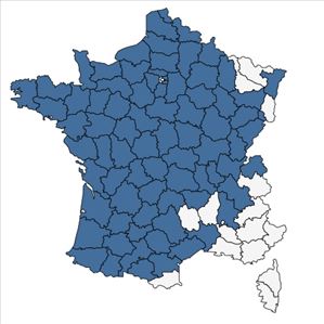 Répartition de Scutellaria minor Huds. en France