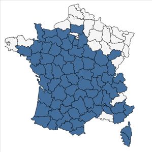 Répartition de Sedum cepaea L. en France
