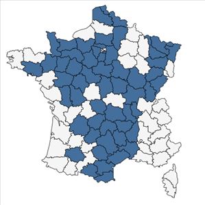 Répartition de Sedum forsterianum Sm. en France