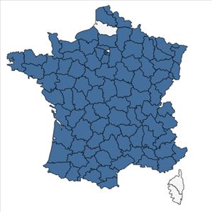 Répartition de Sedum rupestre L. en France