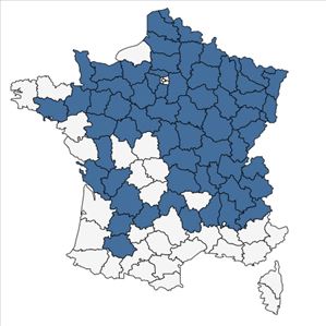 Répartition de Selinum carvifolia (L.) L. en France