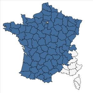 Répartition de Senecio sylvaticus L. en France