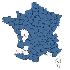 Répartition de Senecio viscosus L. en France