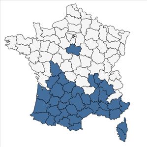 Répartition de Serapias vomeracea (Burm.f.) Briq. en France