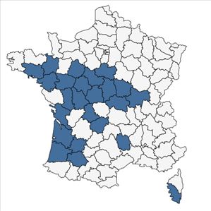 Répartition de Sesamoides purpurascens (L.) G.López en France