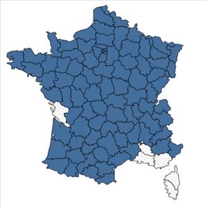Répartition de Silene dioica (L.) Clairv. en France