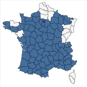 Répartition de Silene latifolia Poir. en France