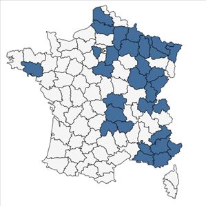 Répartition de Silene noctiflora L. en France