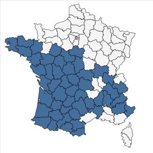 Répartition de Asphodelus albus Mill. en France