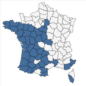 Répartition de Simethis mattiazzii (Vand.) G.López & Jarvis en France