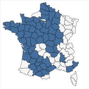 Répartition de Sison segetum L. en France