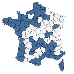 Répartition de Lagurus ovatus L. en France