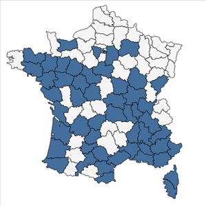 Répartition de Solanum villosum Mill. en France