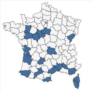 Répartition de Solanum villosum Mill. subsp. villosum en France