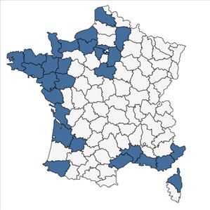 Répartition de Soleirolia soleirolii (Req.) Dandy en France