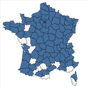 Répartition de Solidago canadensis L. en France