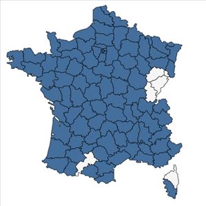 Répartition de Sonchus asper (L.) Hill en France