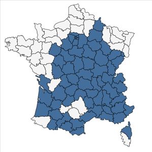 Répartition de Sonchus asper (L.) Hill subsp. asper en France