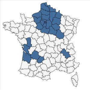 Répartition de Sonchus palustris L. en France