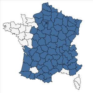 Répartition de Sorbus aucuparia L. en France