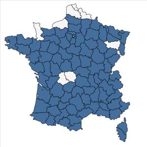 Répartition de Sorbus domestica L. en France