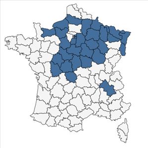 Répartition de Sorbus latifolia (Lam.) Pers. en France