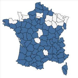 Répartition de Sorghum halepense (L.) Pers. en France