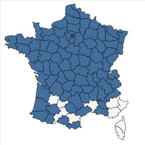 Répartition de Sparganium emersum Rehmann en France