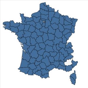 Répartition de Spergula arvensis L. en France