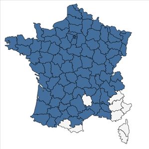 Répartition de Spirodela polyrhiza (L.) Schleid. en France