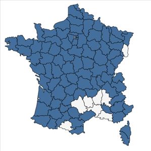 Répartition de Stachys arvensis (L.) L. en France