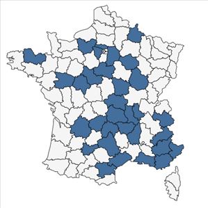 Répartition de Stachys byzantina K.Koch en France