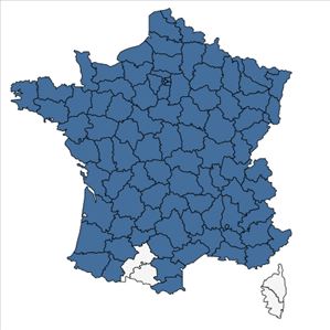 Répartition de Tanacetum vulgare L. en France