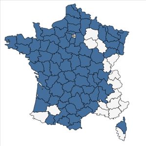 Répartition de Teesdalia nudicaulis (L.) R.Br. en France