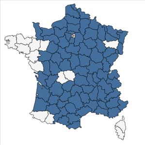 Répartition de Teucrium botrys L. en France