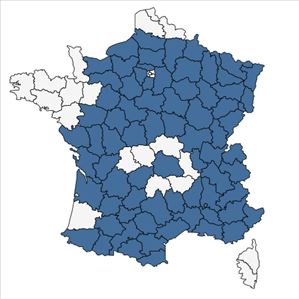 Répartition de Teucrium montanum L. en France