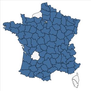 Répartition de Thlaspi arvense L. en France