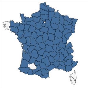 Répartition de Thymus pulegioides L. en France