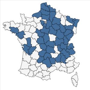 Répartition de Thysselinum palustre (L.) Hoffm. en France