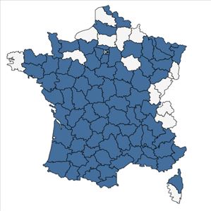 Répartition de Tordylium maximum L. en France