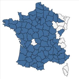 Répartition de Torilis nodosa (L.) Gaertn. en France