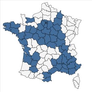 Répartition de Torilis nodosa (L.) Gaertn. subsp. nodosa en France