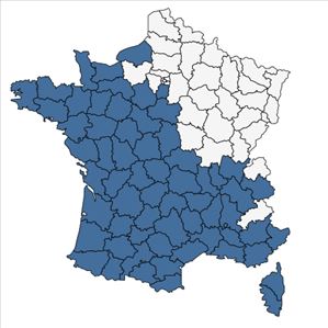 Répartition de Trifolium glomeratum L. en France