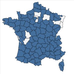 Répartition de Trifolium incarnatum L. en France
