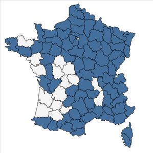 Répartition de Atropa belladonna L. en France