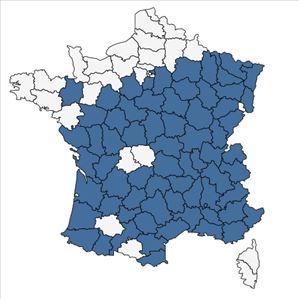 Répartition de Trifolium rubens L. en France