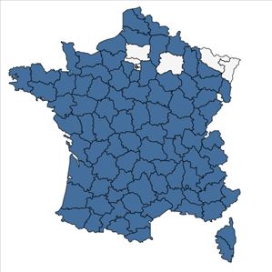 Répartition de Trifolium scabrum L. en France