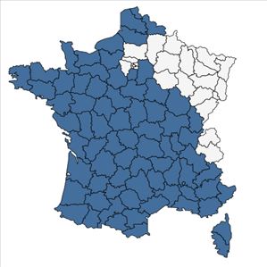 Répartition de Trifolium subterraneum L. en France