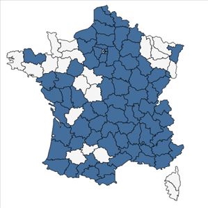 Répartition de Triticum aestivum L. en France