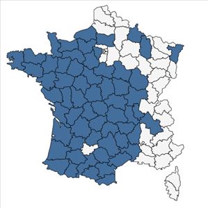 Répartition de Trocdaris verticillatum (L.) Raf. en France